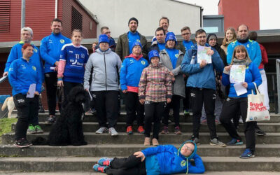 Orientierungslauf 2020